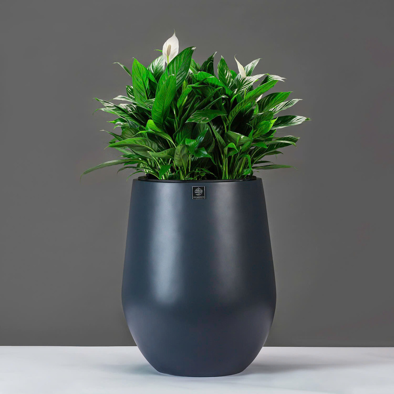 Chậu Composite tròn - Chậu Composite Kingpot -  Công Ty Cổ Phần Kingpot Việt Nam